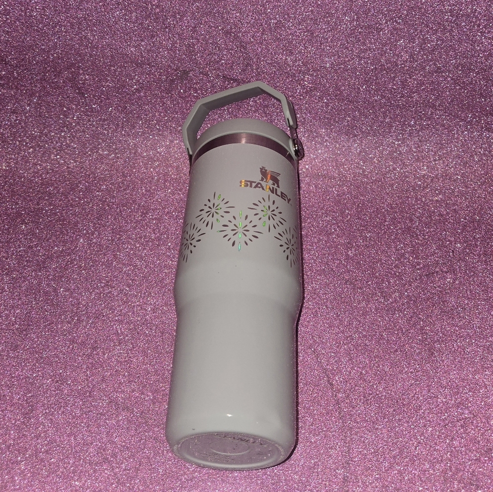 Stanley Travel Tumbler with Silver Band and Floral Pattern in Pale Green - Picture 2 of 9